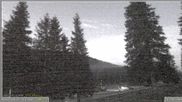Archiviertes Webcam Bild: Pokljuka: Wetterstation am Biathlonstadion am 12.07.2026 um 04:29 Uhr