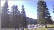 Archiviertes Webcam Bild: Pokljuka: Wetterstation am Biathlonstadion am 12.07.2026 um 08:29 Uhr