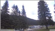 Archiviertes Webcam Bild: Pokljuka: Wetterstation am Biathlonstadion am 12.07.2026 um 12:29 Uhr