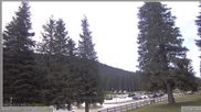 Archived webcam image showing Pokljuka - Biathlon Center Weather Station on 26 Jul 2026 at 06:45