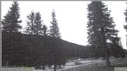 Archived webcam image showing Pokljuka - Biathlon Center Weather Station on 24 Sep 2026 at 06:50