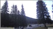 Archiviertes Webcam Bild: Pokljuka: Wetterstation am Biathlonstadion am 10.10.2026 um 08:38 Uhr