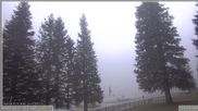 Archiviertes Webcam Bild: Pokljuka: Wetterstation am Biathlonstadion am 10.10.2026 um 16:38 Uhr