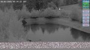 Archived webcam image showing Althütte - DSV nordic aktiv Zentrum on 30 May 2026 at 04:54
