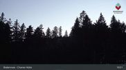 Archiviertes Webcam Bild: Bodenmais - Chamer Hütte am 12.04.2026 um 01:58 Uhr