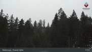 Archiviertes Webcam Bild: Bodenmais - Chamer Hütte am 12.04.2026 um 11:58 Uhr