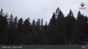 Archiviertes Webcam Bild: Bodenmais - Chamer Hütte am 12.04.2026 um 19:33 Uhr