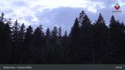 Archived webcam image showing Bodenmais - Chamer Hut on 18 May 2026 at 03:31