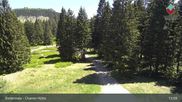 Archiviertes Webcam Bild: Bodenmais - Chamer Hütte am 28.05.2026 um 13:52 Uhr