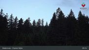 Archived webcam image showing Bodenmais - Chamer Hut on 17 Jun 2026 at 05:48