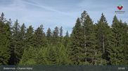 Archived webcam image showing Bodenmais - Chamer Hut on 17 Jun 2026 at 08:48