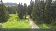 Archived webcam image showing Bodenmais - Chamer Hut on 17 Jun 2026 at 11:48