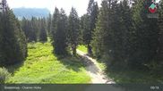 Archived webcam image showing Bodenmais - Chamer Hut on 18 Jun 2026 at 09:44