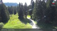Archiviertes Webcam Bild: Bodenmais - Chamer Hütte am 12.07.2026 um 09:28 Uhr