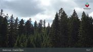 Archiviertes Webcam Bild: Bodenmais - Chamer Hütte am 12.07.2026 um 15:28 Uhr