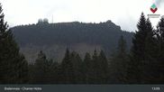 Archiviertes Webcam Bild: Bodenmais - Chamer Hütte am 15.07.2026 um 13:50 Uhr