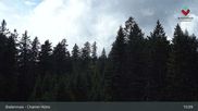 Archiviertes Webcam Bild: Bodenmais - Chamer Hütte am 15.07.2026 um 15:50 Uhr