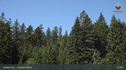 Archived webcam image showing Bodenmais - Chamer Hut on 3 Aug 2026 at 11:11
