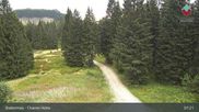 Archiviertes Webcam Bild: Bodenmais - Chamer Hütte am 16.08.2026 um 07:40 Uhr