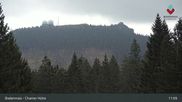 Archived webcam image showing Bodenmais - Chamer Hut on 17 Aug 2026 at 11:55