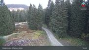 Archived webcam image showing Bodenmais - Chamer Hut on 5 Oct 2026 at 01:25