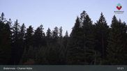 Archiviertes Webcam Bild: Bodenmais - Chamer Hütte am 12.10.2026 um 07:44 Uhr