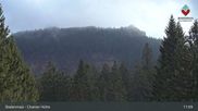 Archiviertes Webcam Bild: Bodenmais - Chamer Hütte am 12.10.2026 um 11:44 Uhr