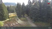 Archived webcam image showing Bodenmais - Chamer Hut on 15 Oct 2026 at 11:40