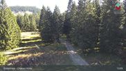 Archiviertes Webcam Bild: Bodenmais - Chamer Hütte am 16.10.2026 um 13:28 Uhr