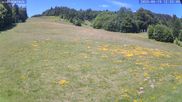 Archived webcam image showing Münstertal-Wieden: Rollspitz ski lift on 19 Jun 2026 at 12:47