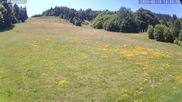 Archived webcam image showing Münstertal-Wieden: Rollspitz ski lift on 19 Jun 2026 at 14:47