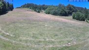 Archived webcam image showing Münstertal-Wieden: Rollspitz ski lift on 4 Jul 2026 at 12:33