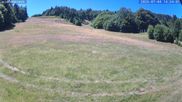 Archived webcam image showing Münstertal-Wieden: Rollspitz ski lift on 4 Jul 2026 at 14:33