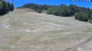 Archiviertes Webcam Bild: Münstertal-Wieden: Rollspitzlift am 12.07.2026 um 12:19 Uhr
