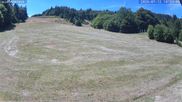 Archiviertes Webcam Bild: Münstertal-Wieden: Rollspitzlift am 12.07.2026 um 14:19 Uhr