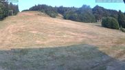 Archived webcam image showing Münstertal-Wieden: Rollspitz ski lift on 30 Jul 2026 at 07:38