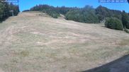 Archived webcam image showing Münstertal-Wieden: Rollspitz ski lift on 30 Jul 2026 at 08:38