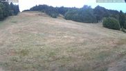 Archived webcam image showing Münstertal-Wieden: Rollspitz ski lift on 24 Aug 2026 at 06:36