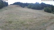 Archived webcam image showing Münstertal-Wieden: Rollspitz ski lift on 24 Aug 2026 at 14:36