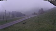 Archived webcam image showing Münstertal-Wieden: Heidstein Ski Lift on 14 Apr 2026 at 07:59