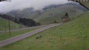 Archived webcam image showing Münstertal-Wieden: Heidstein Ski Lift on 14 Apr 2026 at 10:59