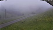 Archived webcam image showing Münstertal-Wieden: Heidstein Ski Lift on 14 May 2026 at 06:49