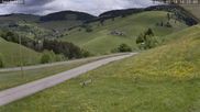 Archived webcam image showing Münstertal-Wieden: Heidstein Ski Lift on 18 May 2026 at 14:55