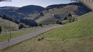 Archiviertes Webcam Bild: Münstertal-Wieden: Skilift Heidstein am 12.07.2026 um 08:20 Uhr