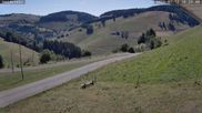 Archiviertes Webcam Bild: Münstertal-Wieden: Skilift Heidstein am 12.07.2026 um 10:20 Uhr