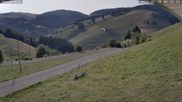 Archived webcam image showing Münstertal-Wieden: Heidstein Ski Lift on 30 Jul 2026 at 08:39