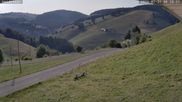 Archiviertes Webcam Bild: Münstertal-Wieden: Skilift Heidstein am 31.07.2026 um 08:52 Uhr