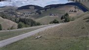 Archived webcam image showing Münstertal-Wieden: Heidstein Ski Lift on 26 Aug 2026 at 14:33