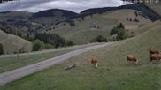 Archiviertes Webcam Bild: Münstertal-Wieden: Skilift Heidstein am 30.08.2026 um 10:31 Uhr