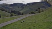 Archived webcam image showing Münstertal-Wieden: Heidstein Ski Lift on 21 Sep 2026 at 10:39